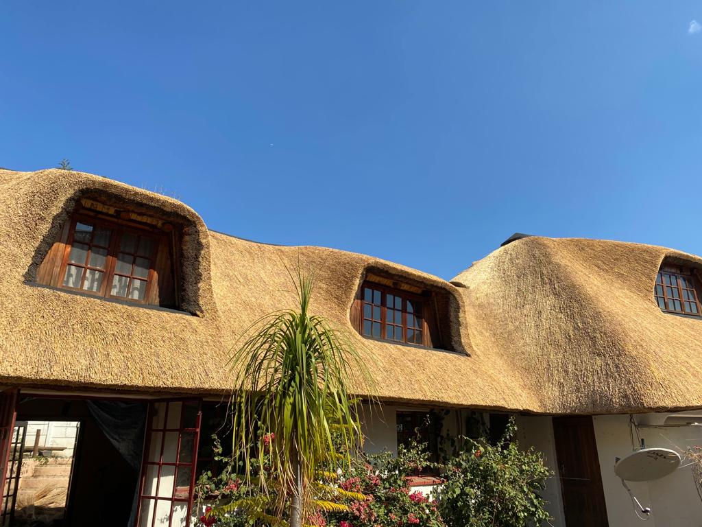 WhatsApp Image 2022-10-04 at 11.26.52